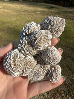 Selenite "Desert Rose," Samalayuka Desert, Chihuahua, Mexico #1