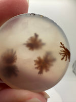 Scenic Dendritic Agate Cabochon #9