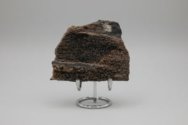 Permineralized Wood Specimen with Quartz Druzy