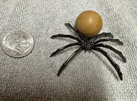 Spider with Jasper Sphere