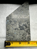 Free Form Pyrite Flowers Symbiosis Mixed Agate Slab #2