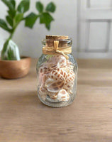 Glass Jar with Shells #1