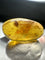 Fossil Insect Inclusion in Burmese Amber #10