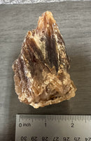 Natural Amber Calcite Raw Specimen UV Reactive #19