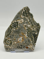 8th Vein Ocean Jasper Slab #6