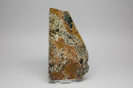 8th Vein Ocean Jasper Slab #24