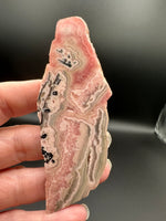 Rhodochrosite Slab #13 – Natural Pink Banded Rhodochrosite Mineral Specimen