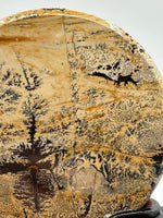 Natural Picture Jasper Slab with Stand #5