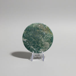Moss Agate Polished Round Slice #19