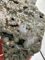 8th Vein Ocean Jasper Slab #16