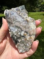8th Vein Ocean Jasper Slab #87