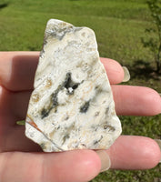 8th Vein Ocean Jasper Polished Free Form #25