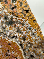 8th Vein Ocean Jasper Slab #24