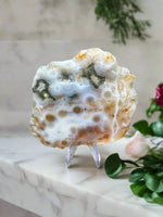 8th Vein Ocean Jasper Slab #120