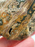 8th Vein Ocean Jasper Slab #10
