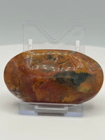 Money Agate Palm Stone #1