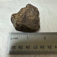 Raw Amber Specimen #12