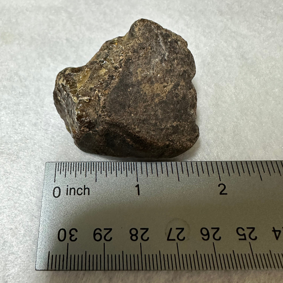 Raw Amber Specimen #12| Gems & Minerals Rock