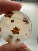 Scenic Dendritic Agate Cabochon #10