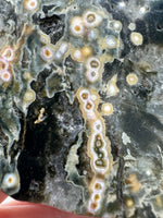 8th Vein Ocean Jasper Slab #19