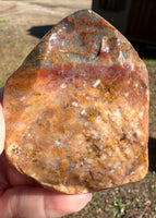 Savannah River Agate Specimen 1b