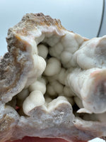 Withlacoochee River Agatized Coral #11