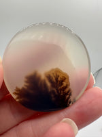 Designer Dendritic Agate Cabochon #7