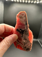 Rhodochrosite Slab #3 – Vivid Pink Banded Polished Collector Specimen