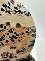 Natural Picture Jasper Slab with Stand #8