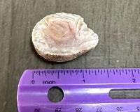Oco Geode from Mexico #2