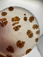 Scenic Dendritic Agate Cabochon #11