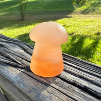 Peach Selenite Mushroom #11
