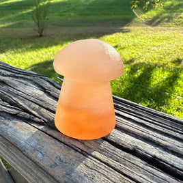 Peach Selenite Mushroom #11