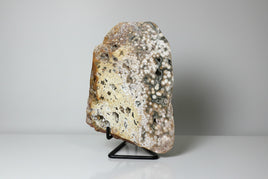 8th Vein Ocean Jasper Slab #98