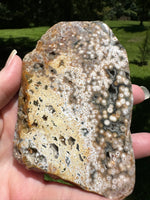 8th Vein Ocean Jasper Slab #98