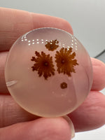 Scenic Dendritic Agate Cabochon #4