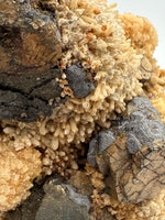 Pyrrhotite, Sphalerite, ex Richard Graveline, Santa Eulalia, Mexico