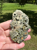 8th Vein Ocean Jasper Slab #122