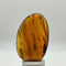 Fossil Insect Inclusion in Burmese Amber #6
