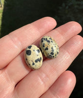 Dalmatian Jasper 18x13mm Cabochon Pair