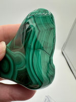 Polished Malachite Freeform Zaire, Africa #7