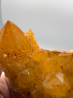 Sunshine Spirit Cactus, Golden Healer Quartz Cluster, South Africa #2