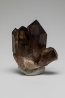 Natural Citrine Cathedral Crystal Kundalini Lightbrary, Congo #8