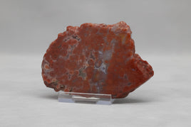 8th Vein Ocean Jasper Slab #56