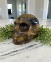 Natural Tiger Eye Skull