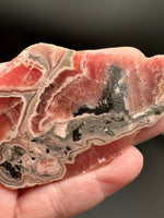 Rhodochrosite Slab #3 – Vivid Pink Banded Polished Collector Specimen
