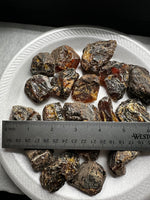 Madagascar Raw Amber Specimens BIN #1