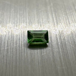 Chrome Tourmaline 3x2mm Emerald Cut
