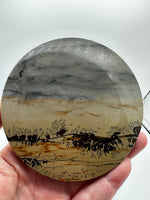 Natural Picture Jasper Slab with Stand #10