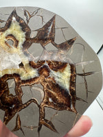Septarian Nodule, Calcite, Muddy Creek, Orderville, Kane Co. UT UV Reactive #1